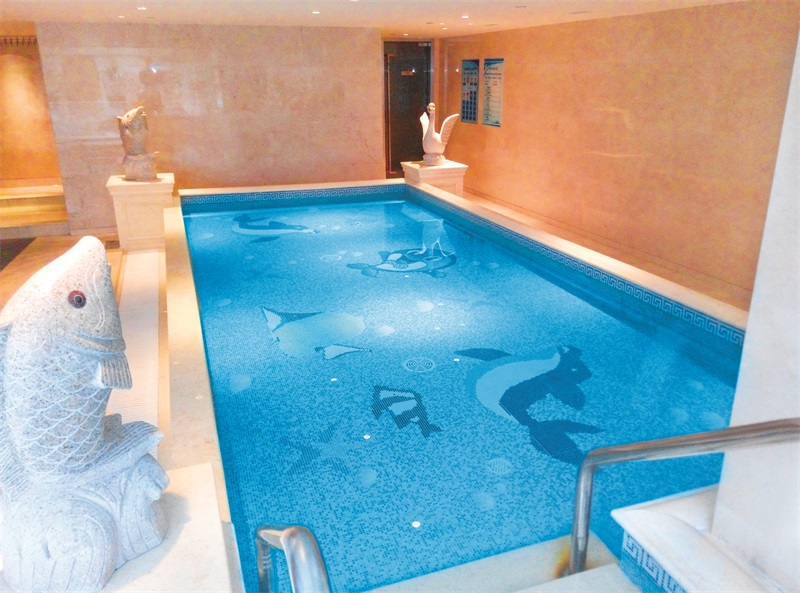 游泳池水處理設(shè)備,游泳池設(shè)備,壁掛式游泳池水處理設(shè)備